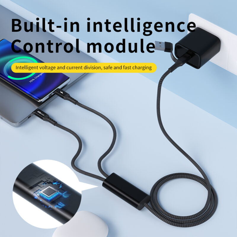 2-IN-2 Quick Charging Data Cable TYPE C to TYPE C and Lightning - IPHONE CABLE - flitop.net